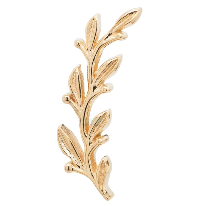 Amity Large Threaded End in Gold Body Vision BVLA Earrings