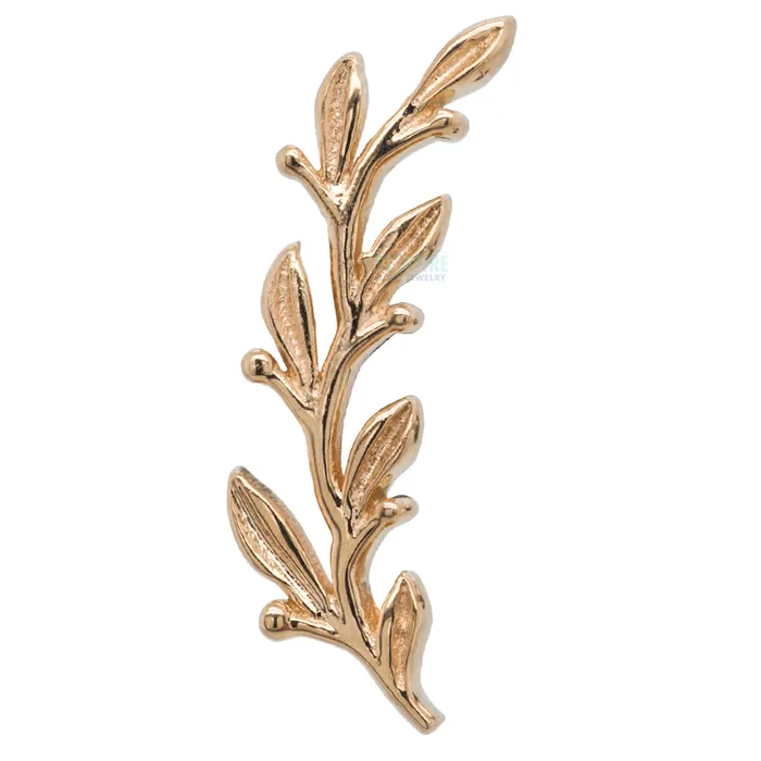 Amity Large Threaded End in Gold Body Vision BVLA Earrings