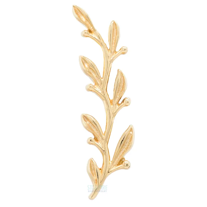 Amity Large Threaded End in Gold Body Vision BVLA Earrings
