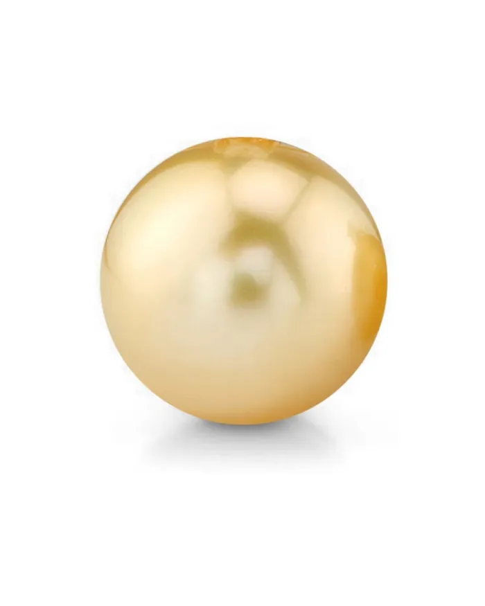 15mm Golden South Sea Loose Pearl spt Earrings