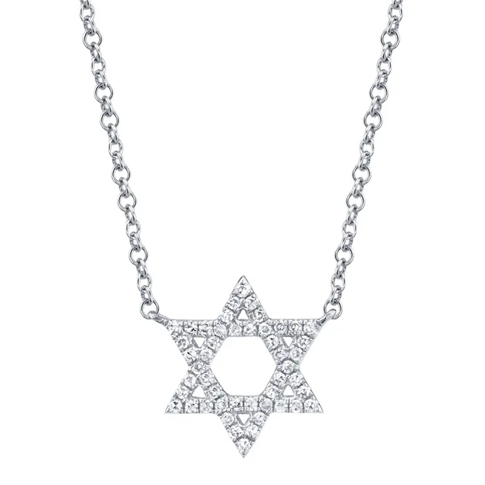 Meierotto Jewelers Necklaces 14K White Gold Diamond Star of David Necklace