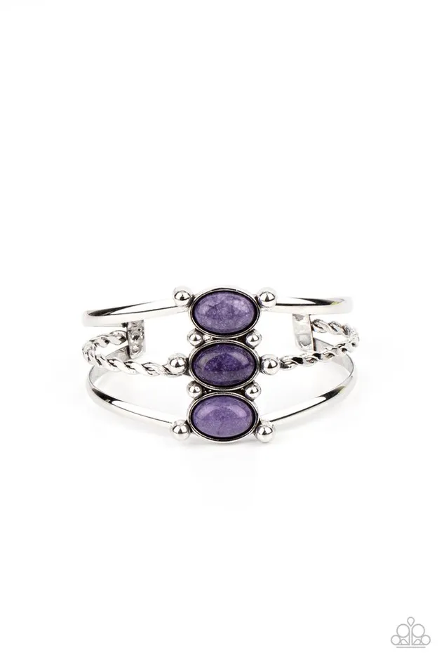 Paparazzi Jewelry Bracelets Paparazzi Bracelet Extra Earthy Purple