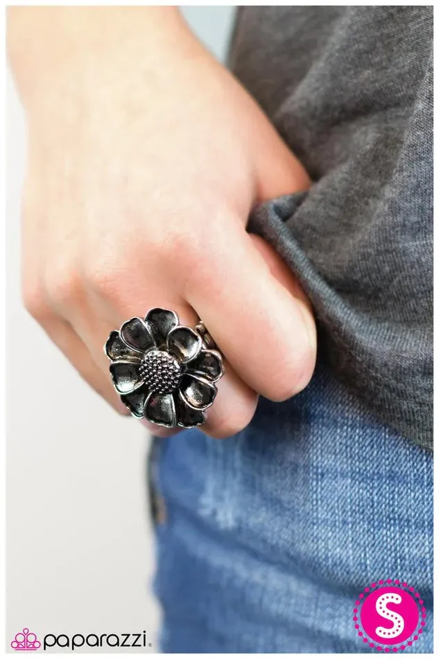 Paparazzi Jewelry Paparazzi Ring Sunflower Serenade Silver Rings