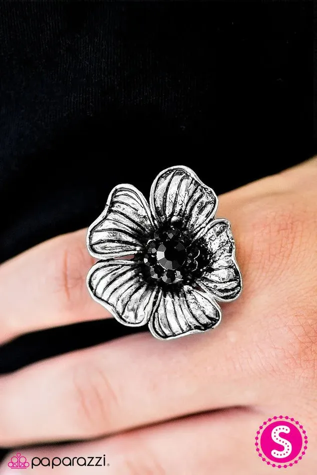 Rings Paparazzi Jewelry Paparazzi Ring Summer Vacation Black