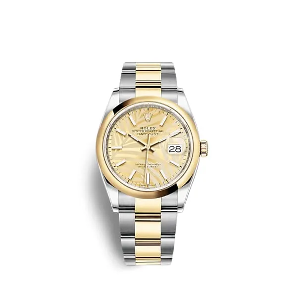 Rolex Bracelets Rolex Datejust 36mm Ref 1262030038 Golden Palm Motif Dial Two Tone Stainless Steel 18K Yellow Gold Oyster Bracelet Watch Rolex Bracelets Rolex Datejust 36mm Ref 1262030038 Golden Palm Motif Dial Two Tone Stainless Steel 18K Yellow Gold Oyster Bracelet Watch