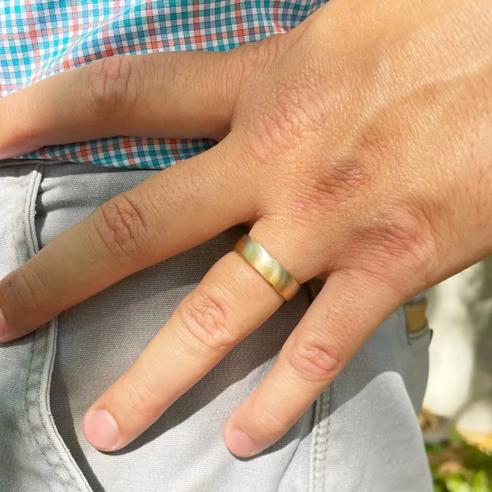 Single Stone Rings Single Stone Maxwell Dual Tone Mens Band